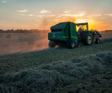 agriculture